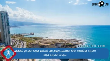 «حرارة مرتفعة» حالة الطقس اليوم هل تستمر موجة الحر أم تنخفض درجات الحرارة فجأة